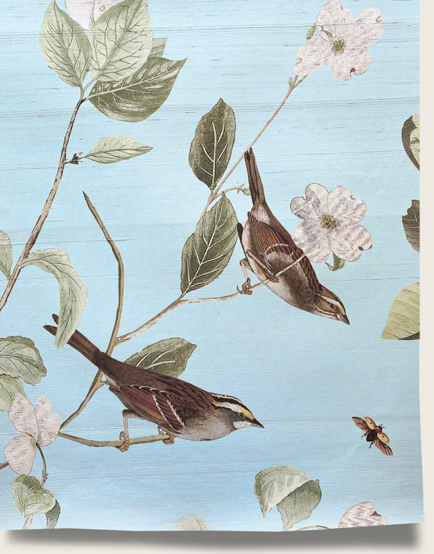 Botanical - Spring Day
