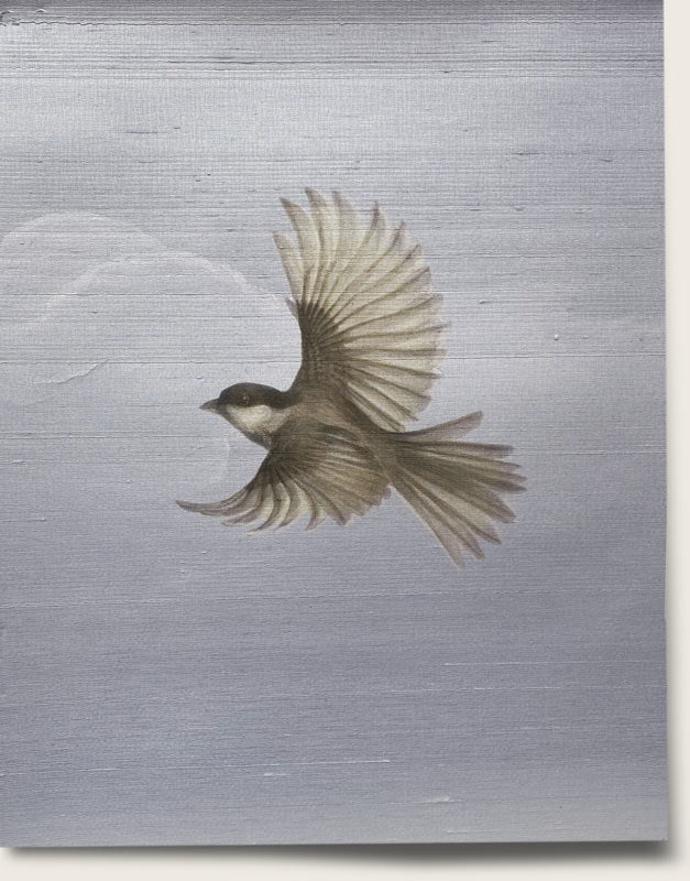 Flight - Daybreak
