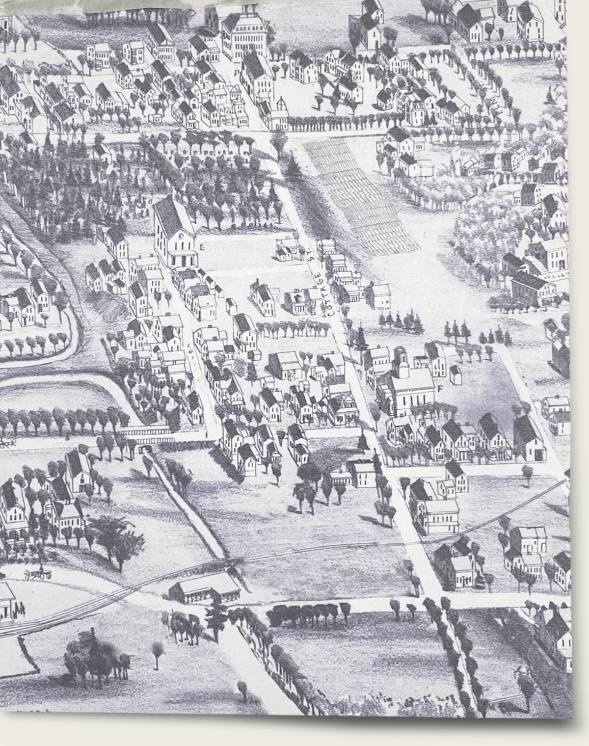 Village Green- Bullseye Blue