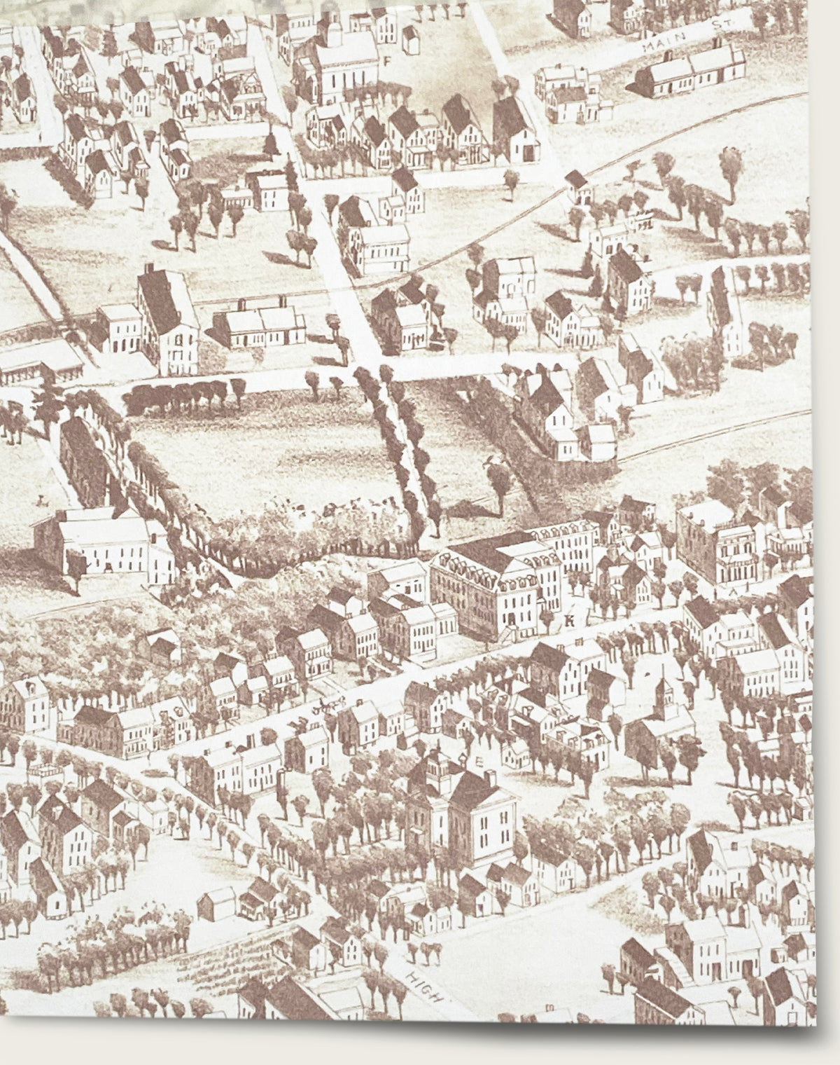 Village Green- Gingerbread