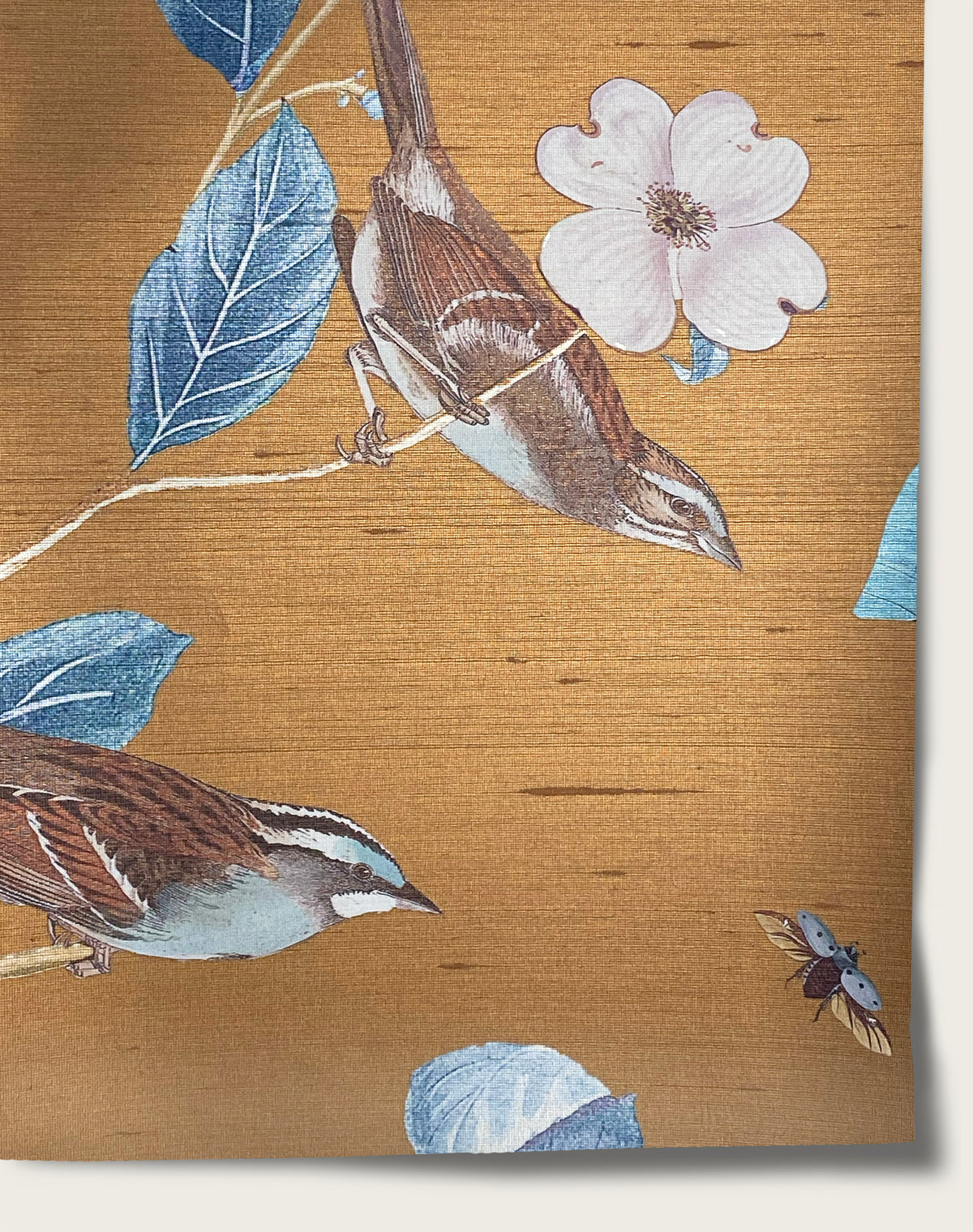 Botanical - Raw Sienna