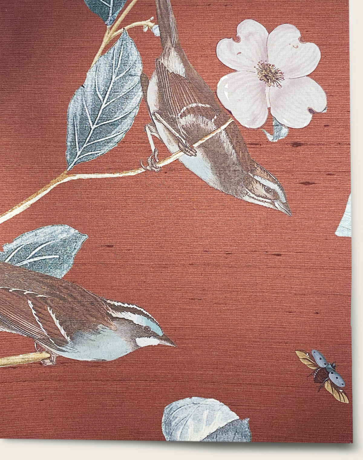 Botanical - Red Madder