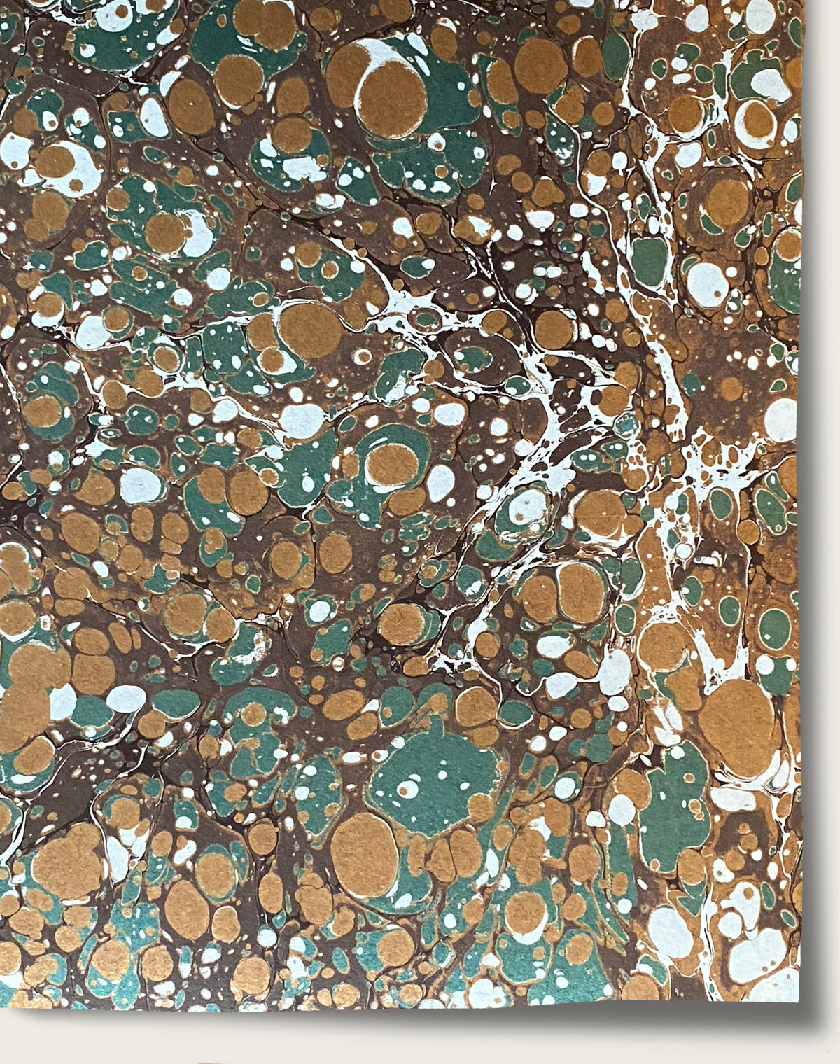 Cosmo - Amaretto Bronze