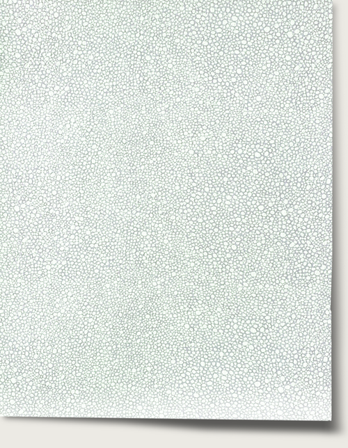 Shagreen - Sting Ray