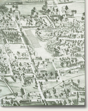 Village Green- Boxwood