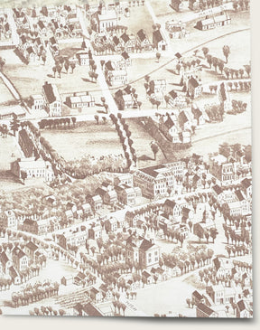 Village Green- Gingerbread